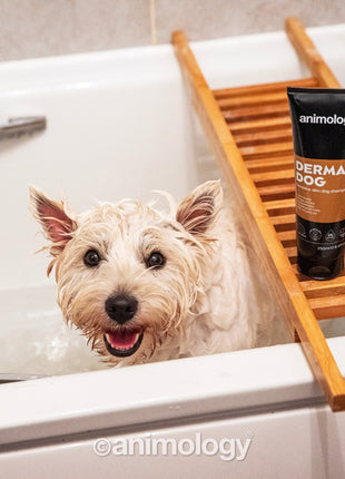 Animology Derma Dog Sensitive Skin Dog Shampoo 250 ml