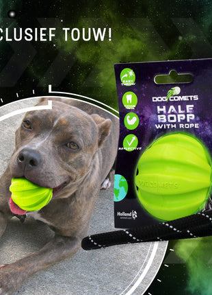 Dog Comets Hale Bopp Met Touw Groen