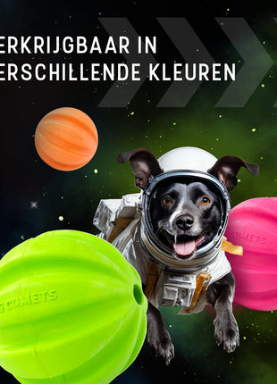 Dog Comets Hale Bopp Met Touw Groen