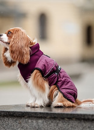 Chaba Kubrak Regulowany Chic 3XL burgundy