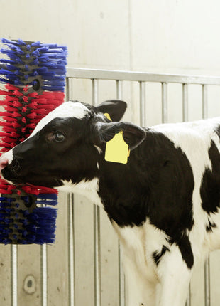 Borstel voor Paard, Rund, Geit