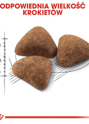 Royal Canin Indoor karma sucha dla kotów dorosłych, przebywających wyłącznie w domu 4kg