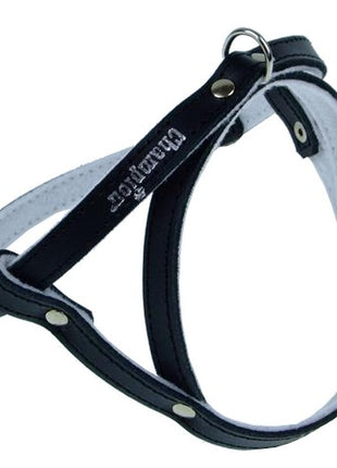 Champion Szelki 40 czarne [SD]
