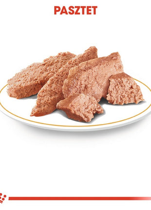 Royal Canin Yorkshire Terrier Adult karma mokra - pasztet, dla psów dorosłych rasy yorkshire terrier saszetka 85g