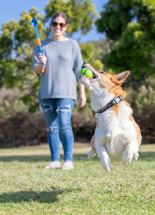 Chuckit! Sniff Fetch Ball Bacon & Peanut Butter M 4-pack