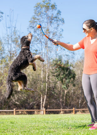 Chuckit! Fetch & Fold Launcher Mini