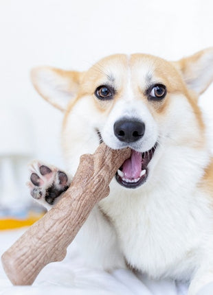 Petstages DogWood large patyk PS219