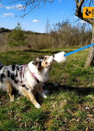Dingo Zabawka dla psa - Szarpak Naturalne futro owcze z długą rączką fioletowy