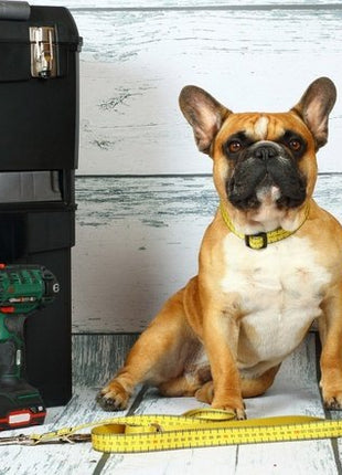 Matteo Obroża Klamra LED 25mm miara