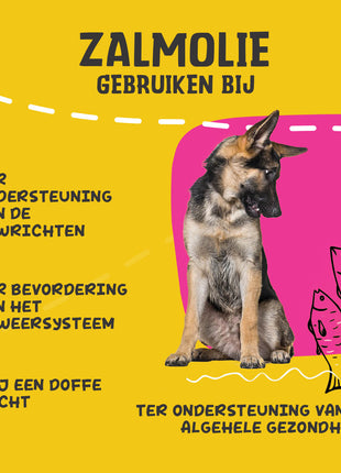 Excellent Pets Dog Salmon Oil