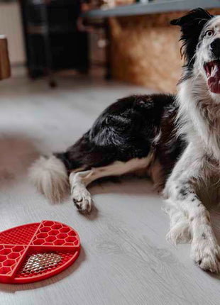 Eat Slow Live Longer Lick Mat Dimensions Circle Rood