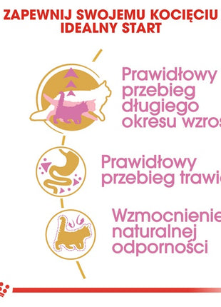 Royal Canin Maine Coon Kitten karma sucha dla kociąt, do 15 miesiąca, rasy maine coon 4kg