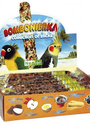Nestor Bombonierka dla średnich papug