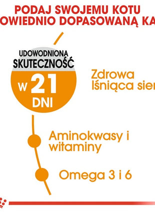 Royal Canin Hair&Skin Care karma sucha dla kotów dorosłych, lśniąca sierść i zdrowa skóra 4kg
