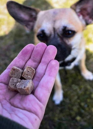 Kiwi Walker Przysmaki liofilizowane 100% królik 75g