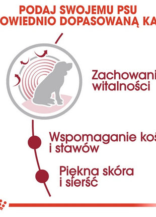 Royal Canin Medium Ageing 10+ karma mokra w sosie dla psów dojrzałych po 10 roku życia, ras średnich saszetka 140g