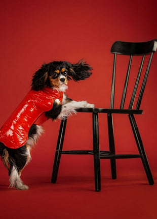 Chaba Kubrak Dopamine 4XL czerwony