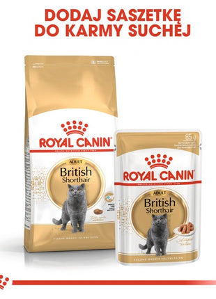 Royal Canin British Shorthair karma mokra w sosie dla kotów dorosłych rasy brytyjski krótkowłosy saszetka 85g