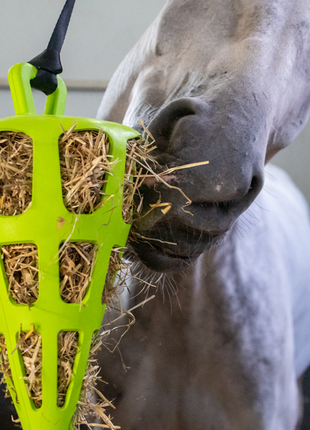 Hay Slow Feeder Fun & Flex Carrot Groen