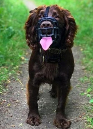 Baskerville Kaganiec Ultra-5 czarny