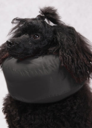 Grande Finale Kołnierz pooperacyjny rozmiar 3 [WET/K/3]