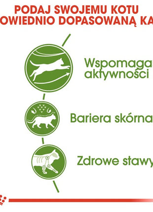 Royal Canin Outdoor karma sucha dla kotów dorosłych, wychodzących na zewnątrz 400g