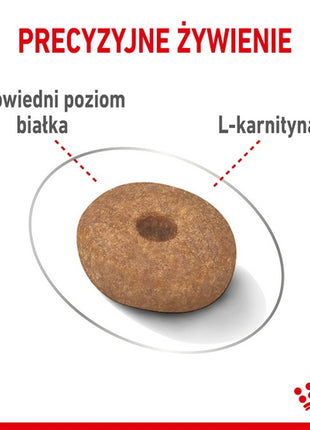 Royal Canin Mini Light Weight Care karma sucha dla psów dorosłych, ras małych z tendencją do nadwagi 3kg