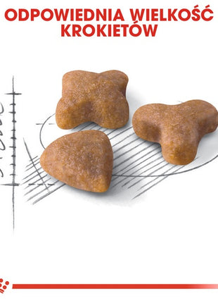 Royal Canin Sensible karma sucha dla kotów dorosłych, o wrażliwym przewodzie pokarmowym 4kg