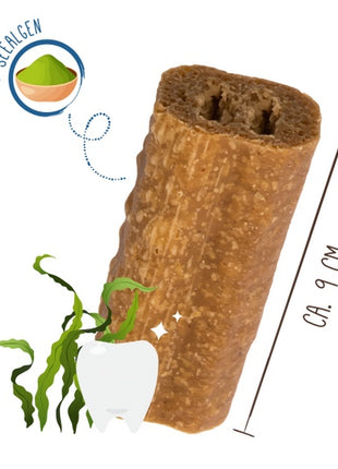 Sammy's Tooth Fairy Dental Snack z algami 60g