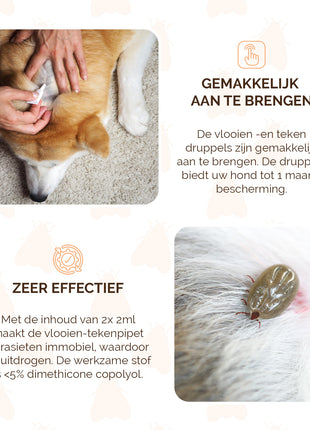 Knock Pest vlooien-tekenpipet Hond <5 kg