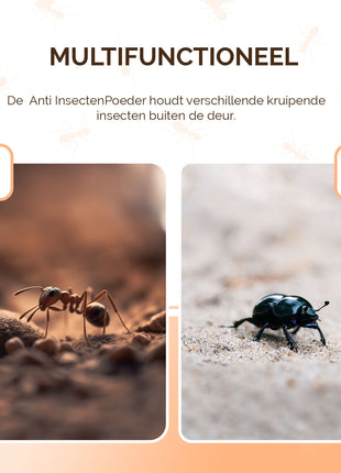 Knock Pest Insectenpoeder 250 g