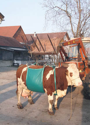 Koelifter