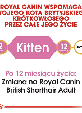 Royal Canin British Shorthair Kitten karma sucha dla kociąt, do 12 miesiąca, rasy brytyjski krótkowłosy 400g