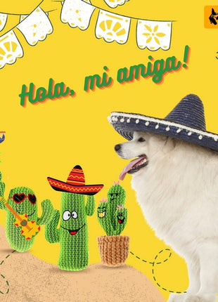 Dingo Zabawka dla psa - Kaktus Dolores 19cm