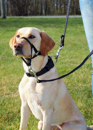 Trixie Uprząż Top Trainer L/3 31cm [TX-13004]