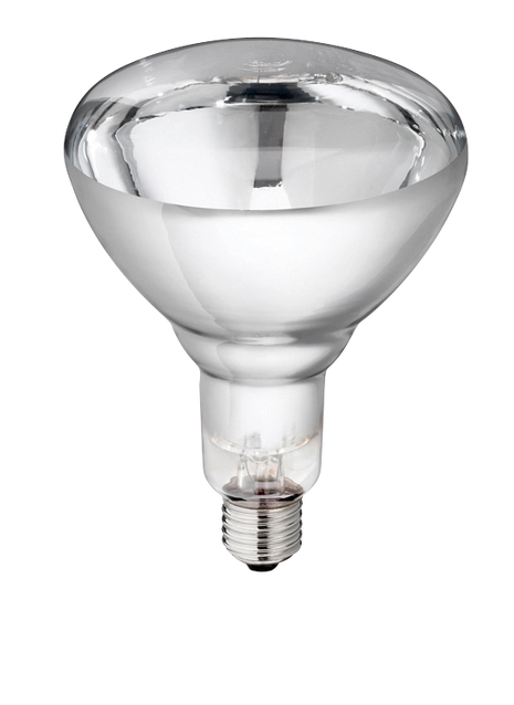 Hard Glas Lamp 250 W - Wit