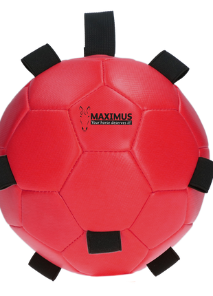 Excellent Horse Fun Play Ball Rood