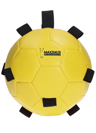 Excellent Horse Fun Play Ball Geel