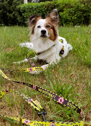 Dingo Smycz przepinana City - Nie Dotykaj 2x220cm