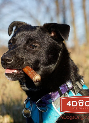 4DOGS Gryzak z penisa wołowego S