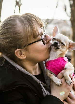 Dingo Szelki bezuciskowe z dwupaskową regulacją S różowe