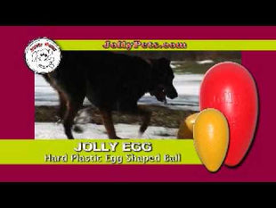 Jolly Egg Paars