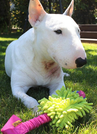 Dingo Zabawka dla psa - Szarpak Mop Bungee z piłką różowy