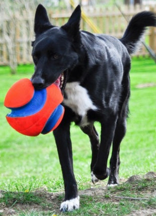 Chuckit! Kick Fetch Small [251101]