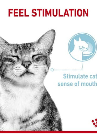 Royal Canin Sensory Feel w sosie karma mokra dla kotów dorosłych saszetka 85g