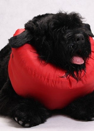 Grande Finale Kołnierz pooperacyjny rozmiar 7 [WET/K/7]