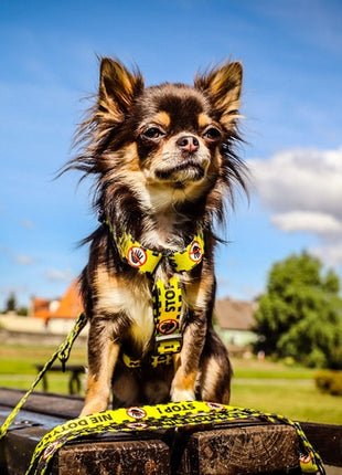 Dingo Szelki dwupaskowe Guard City - Nie Dotykaj rozmiar S