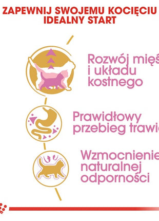 Royal Canin British Shorthair Kitten karma sucha dla kociąt, do 12 miesiąca, rasy brytyjski krótkowłosy 2kg