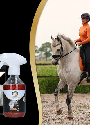 Excellent Horse Hi Gloss Stencils 5 stuks