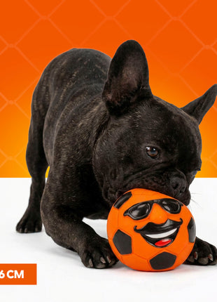 Oranje Mr. Dutch